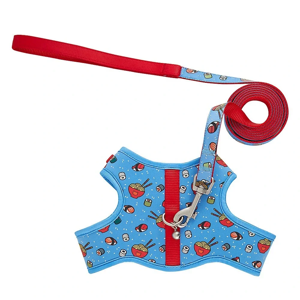 Kitten leash & harness